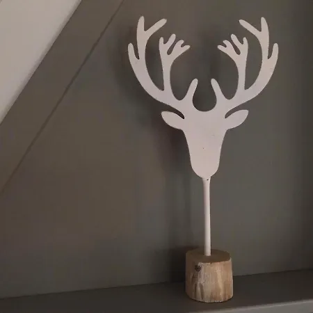 46 Casa Fantasia 더뷔